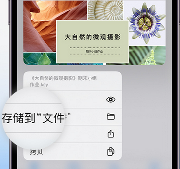 拱墅apple维修中心分享iPhone文件应用中存储和找到下载文件