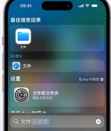 拱墅apple维修中心分享iPhone文件应用中存储和找到下载文件