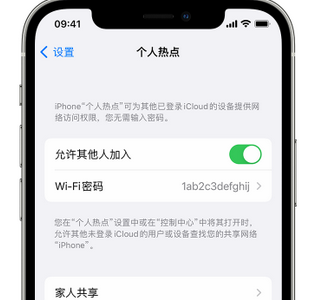 拱墅apple服务站点分享iPhone上个人热点丢失了怎么办 