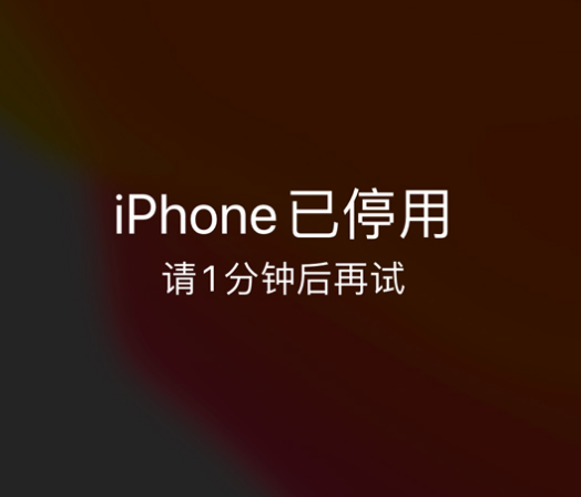 拱墅苹果手机维修分享:iPhone 显示“不可用”或“已停用”怎么办？还能保留数据吗？ 