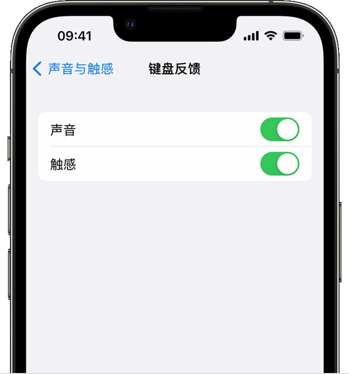 拱墅苹果14维修店分享如何在 iPhone 14 机型中使用触感键盘 