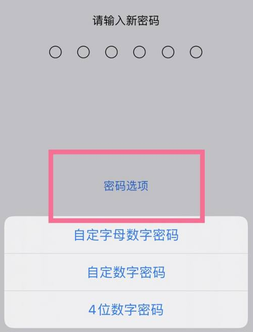 拱墅苹果14维修分享iPhone 14plus设置密码的方法 