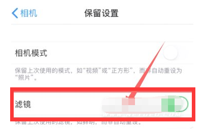 拱墅苹果13维修分享iPhone13拍照有绿点是怎么回事 