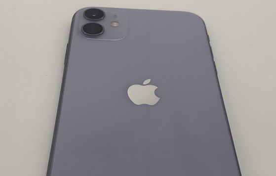 拱墅苹果11系统维修分享iPhone11手机系统崩溃无法开机如何解决